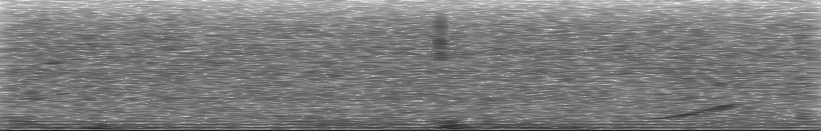 [Loading Spectrogram]