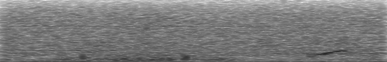 [Loading Spectrogram]