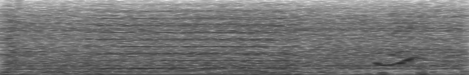 [Loading Spectrogram]