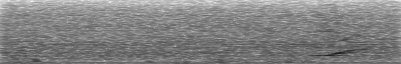 [Loading Spectrogram]