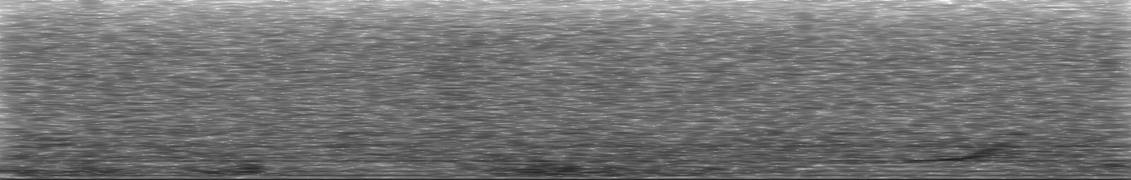 [Loading Spectrogram]