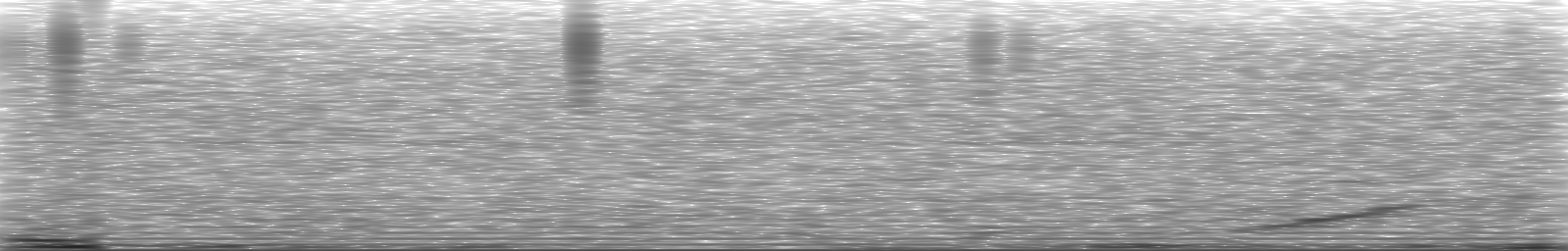 [Loading Spectrogram]