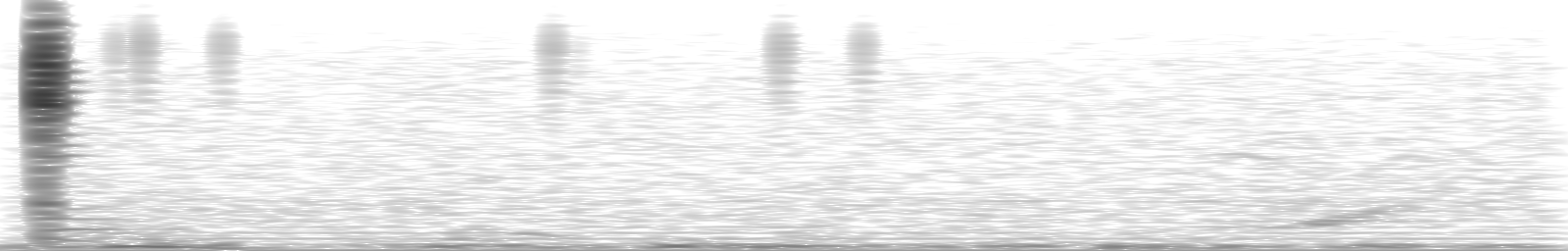 [Loading Spectrogram]