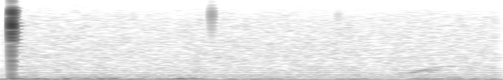[Loading Spectrogram]
