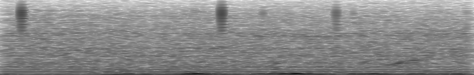 [Loading Spectrogram]
