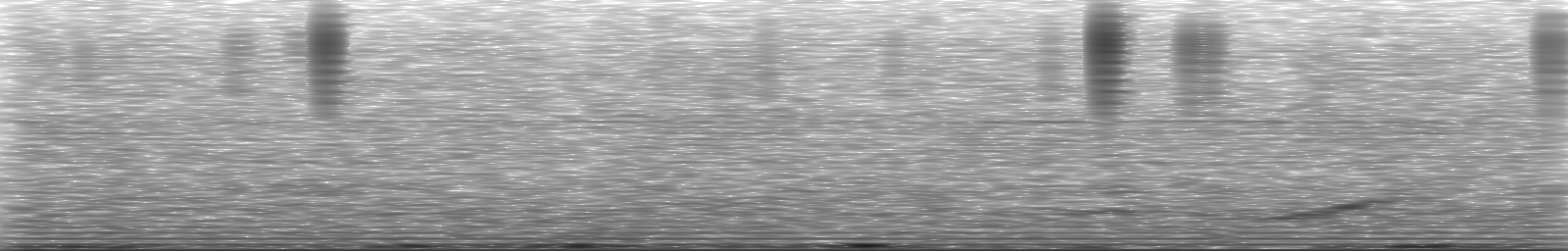 [Loading Spectrogram]