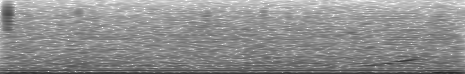 [Loading Spectrogram]