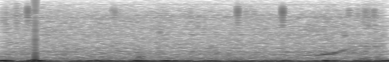 [Loading Spectrogram]
