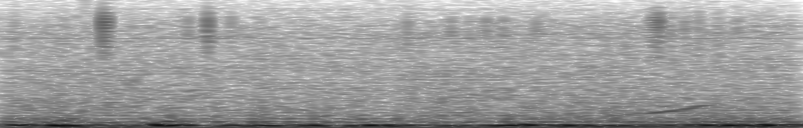 [Loading Spectrogram]
