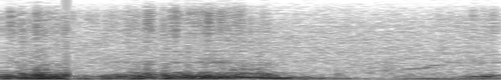 [Loading Spectrogram]