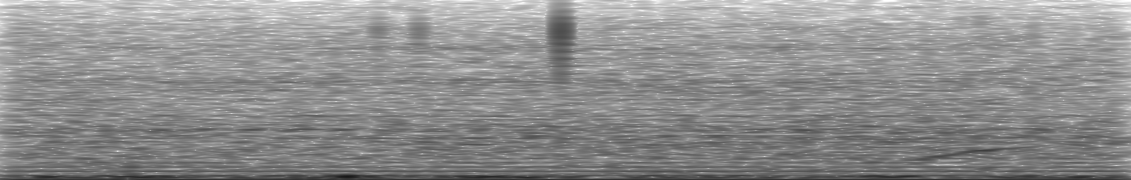 [Loading Spectrogram]