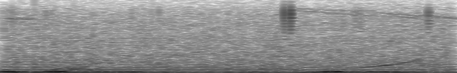 [Loading Spectrogram]