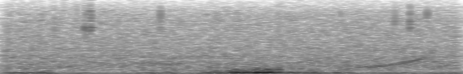 [Loading Spectrogram]