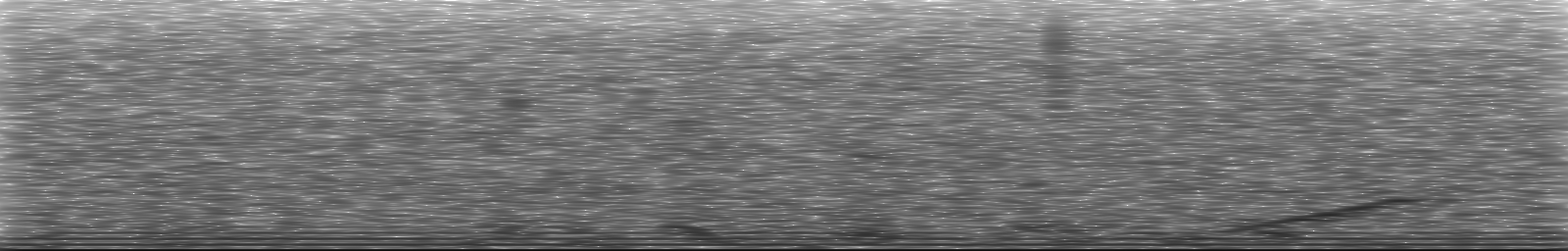 [Loading Spectrogram]