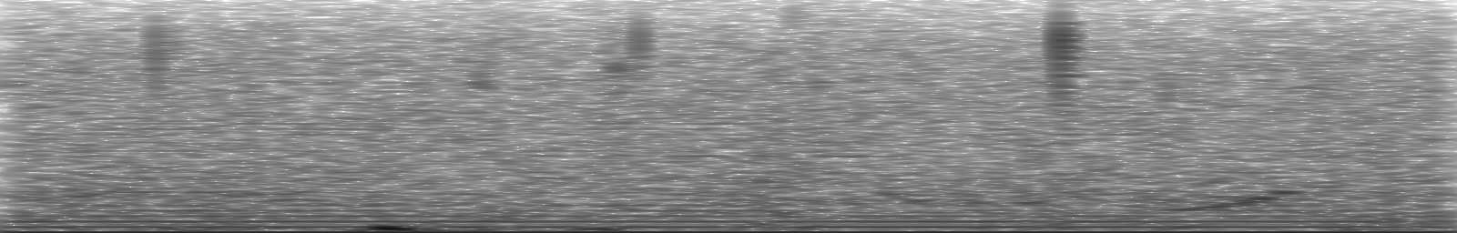 [Loading Spectrogram]