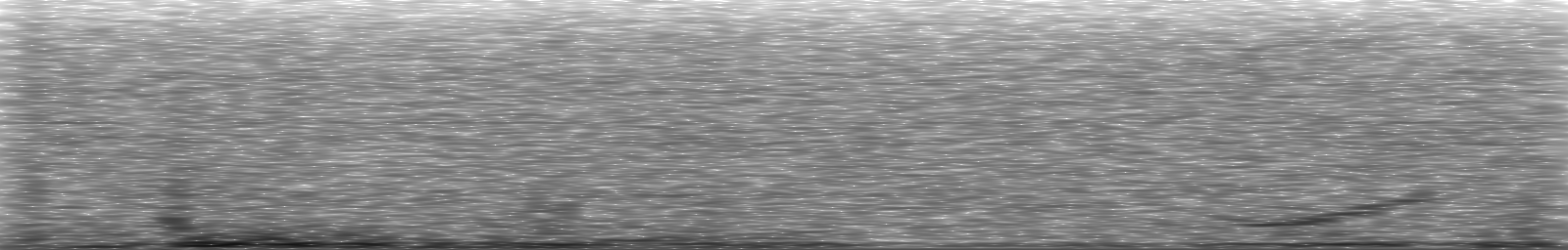 [Loading Spectrogram]