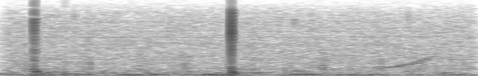 [Loading Spectrogram]
