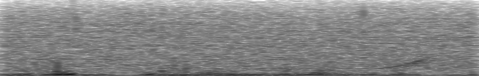 [Loading Spectrogram]