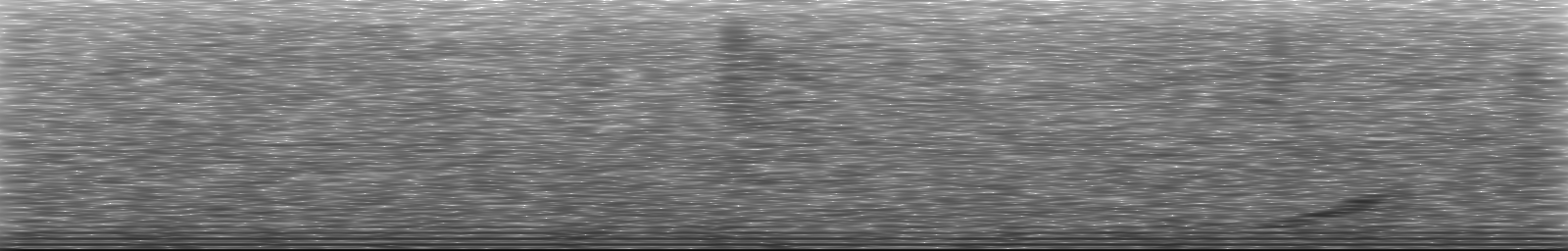 [Loading Spectrogram]