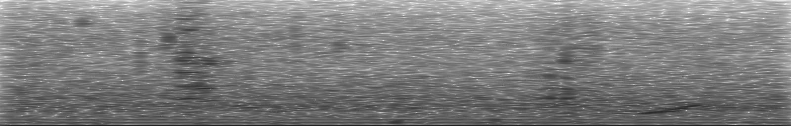 [Loading Spectrogram]