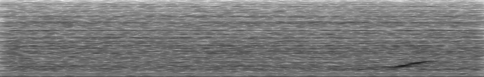 [Loading Spectrogram]