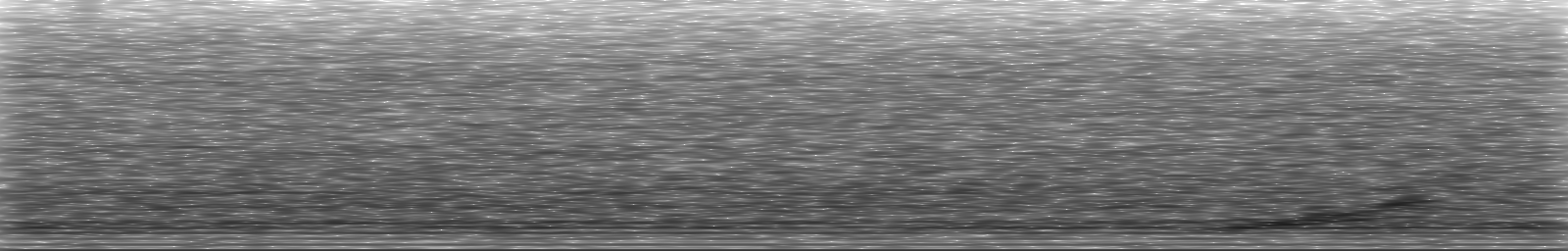 [Loading Spectrogram]