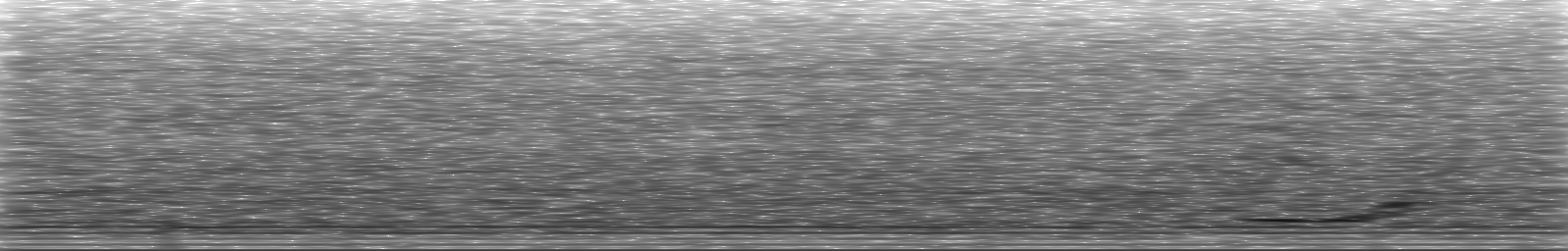 [Loading Spectrogram]