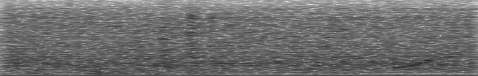[Loading Spectrogram]