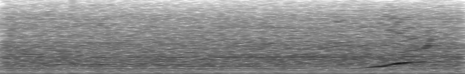 [Loading Spectrogram]