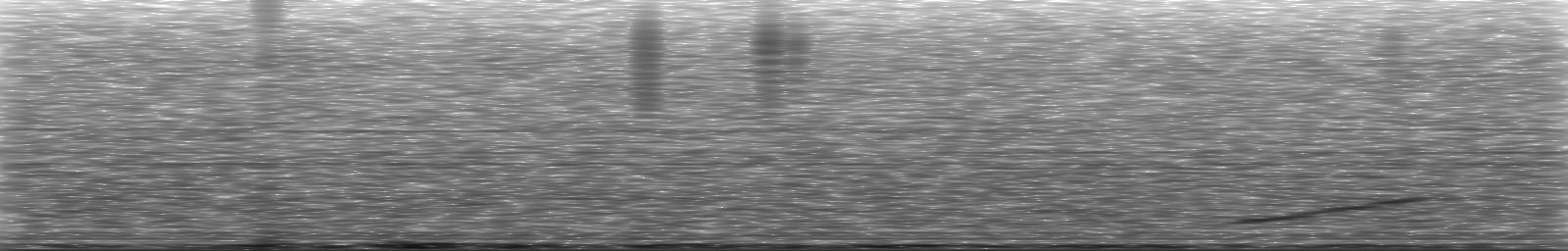 [Loading Spectrogram]