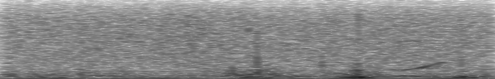 [Loading Spectrogram]