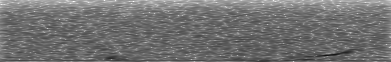 [Loading Spectrogram]