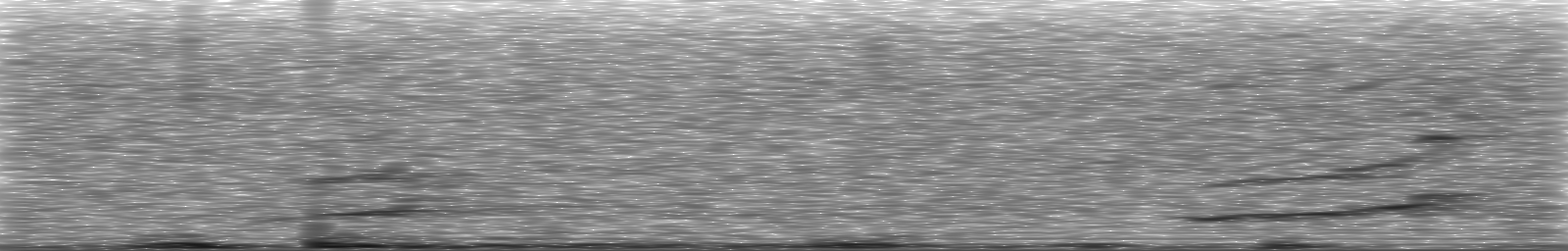 [Loading Spectrogram]