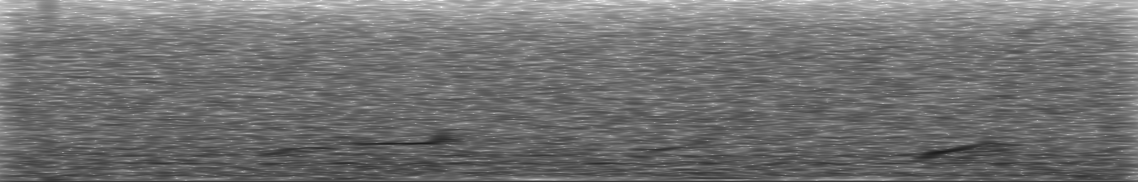 [Loading Spectrogram]
