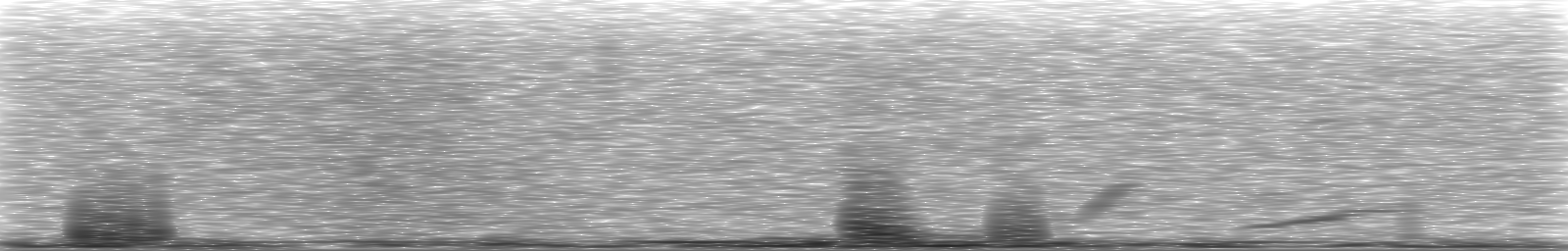[Loading Spectrogram]