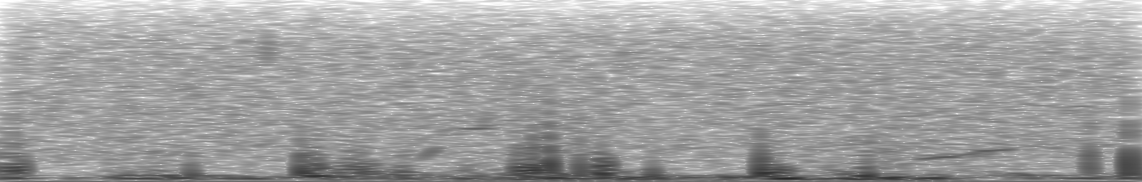 [Loading Spectrogram]