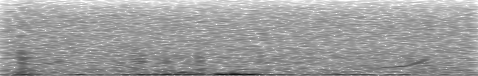 [Loading Spectrogram]