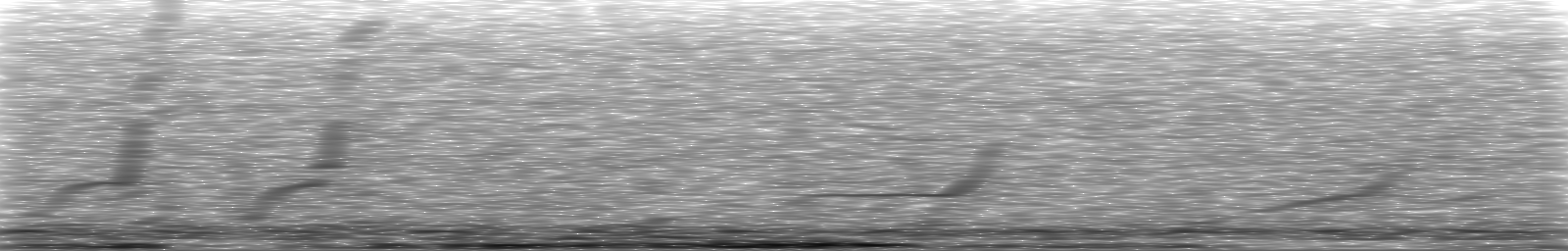 [Loading Spectrogram]