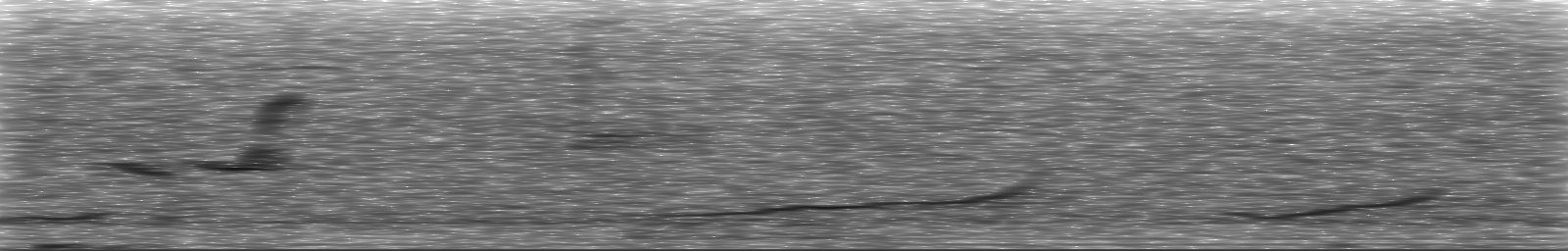 [Loading Spectrogram]