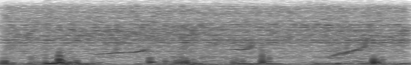 [Loading Spectrogram]
