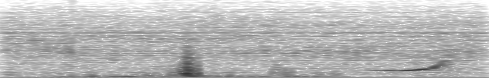 [Loading Spectrogram]