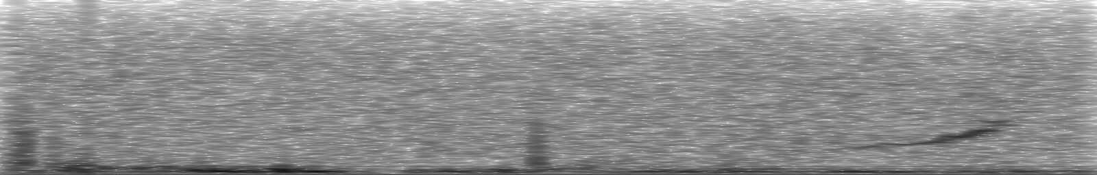 [Loading Spectrogram]
