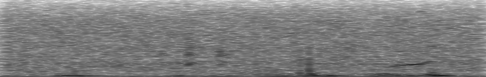 [Loading Spectrogram]