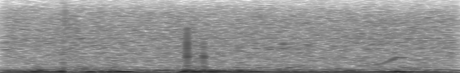 [Loading Spectrogram]