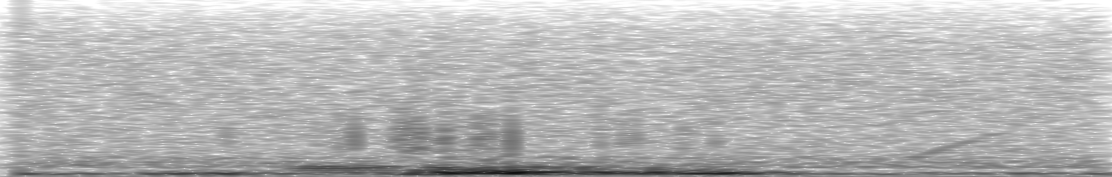 [Loading Spectrogram]