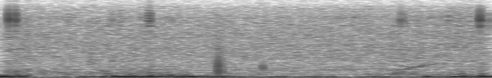 [Loading Spectrogram]