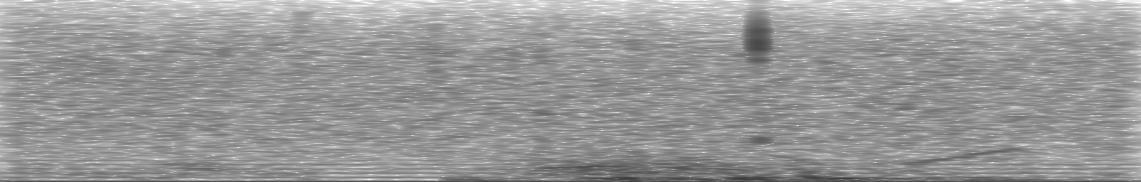 [Loading Spectrogram]
