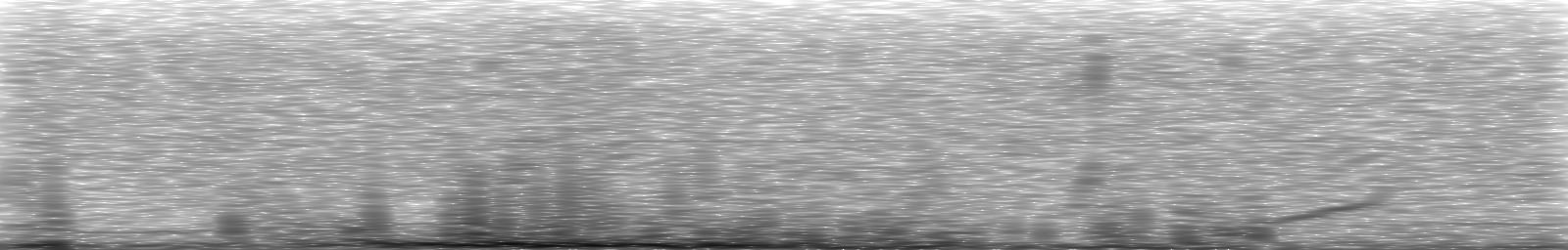 [Loading Spectrogram]