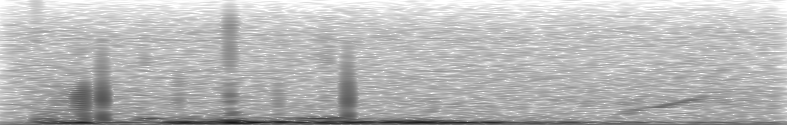 [Loading Spectrogram]