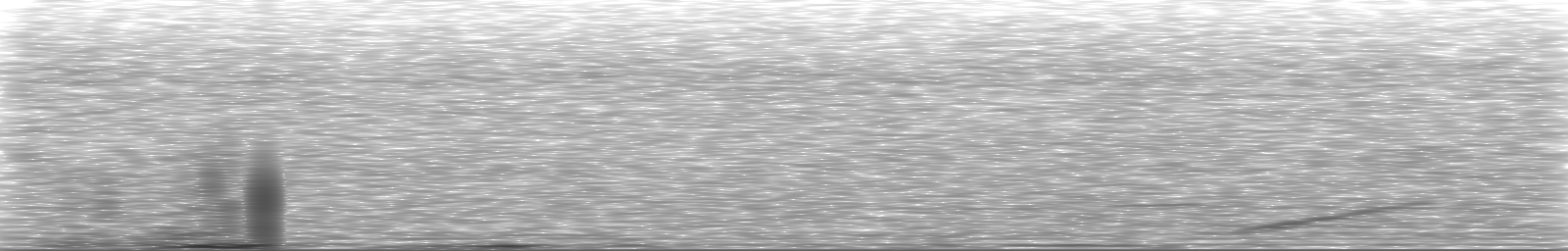 [Loading Spectrogram]